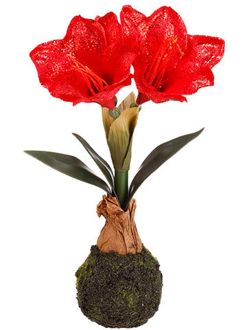 14" Glittered Standing Amaryllis With Bulb And Moss Glittered Red (pack of 6)