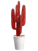 35.5" Cactus in Paper Mache Pot Red Burgundy (pack of 1)