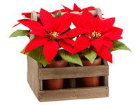 9.5" Velvet Poinsettia in Cement Pot x4 With Wood Carrier Red (pack of 2)