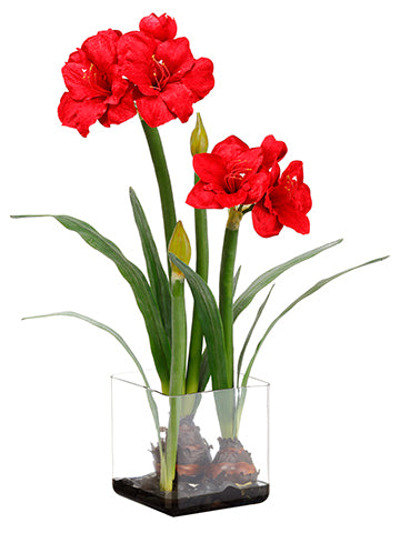 31" Velvet Amaryllis With Bulb in Glass Vase Red (pack of 2)