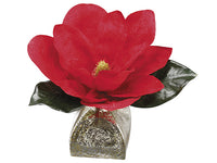 8" Velvet Magnolia in Glass Vase Red (pack of 6)
