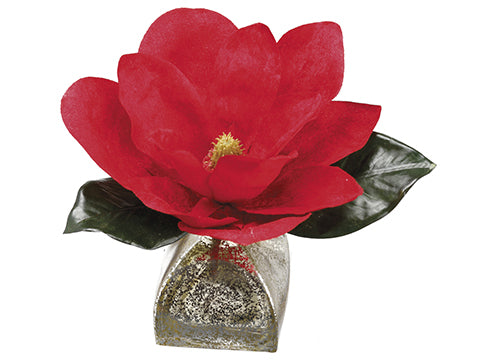 8" Velvet Magnolia in Glass Vase Red (pack of 6)