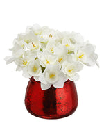 4" Narcissus in Glass Vase  White (pack of 12)