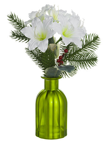 12" Amaryllis Arrangement in Glass Vase White (pack of 6)