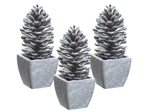 7.5" Snowed Pine Cone in Paper Mache Pot Assortment (3 Ea/set) Brown Snow (pack of 1)
