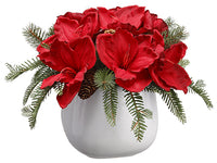 13" Amaryllis/Pine/Pine Cone Arrangement in White Ceramic Vase Red Green (pack of 2)