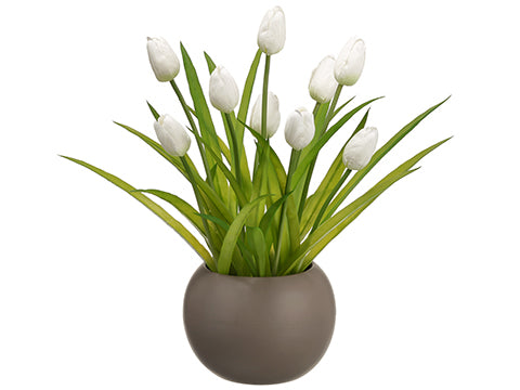16.5" Tulip in Taupe Ceramic Vase White (pack of 6)