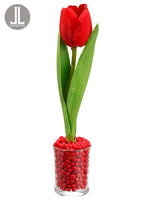 9" Tulip in Glass Vase  Red (pack of 12)
