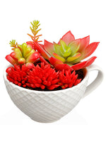 3.75" Succulent Garden in Ceramic Cup Red (pack of 12)