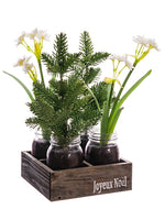 15" Narcissus/Pine Tree in Glass Vase x4 w/Wood Box White Green (pack of 2)