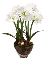 33.75" Amaryllis/Pine Cone in Glass Vase White (pack of 1)
