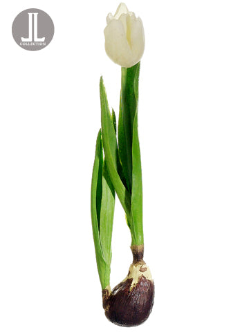 12" Iced Tulip w/Bulb  White (pack of 8)