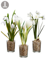 9" Snowdrop/Narcissus/Crocus in Glass Vase Assortment (3 ea/Set) White (pack of 4)