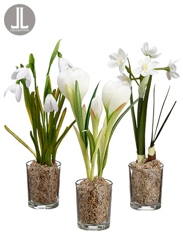 9" Snowdrop/Narcissus/Crocus in Glass Vase Assortment (3 ea/Set) White (pack of 4)