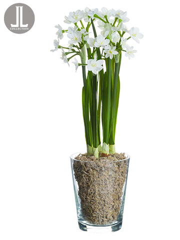 15" Narcissus in Glass Vase  White (pack of 4)