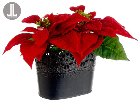 8" Poinsettia in Laced Tin Pot Red (pack of 4)