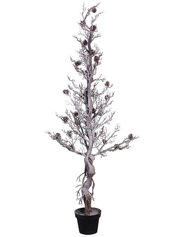 67" Twig Tree with Pine Cone  Brown Whitewashed (pack of 2)