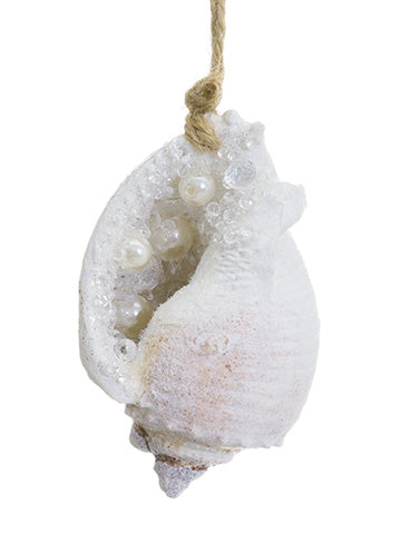4" Pearl Murex Shell Ornament  White Pearl (pack of 24)