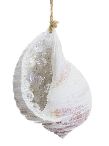 4.5" Pearl Conch Shell Ornament White Pearl (pack of 12)