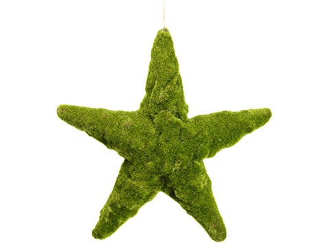 17" Moss Star Ornament  Green (pack of 6)