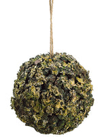 4.5" Lichen Ball Ornament  Green Brown (pack of 24)