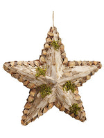 15.5" Moss Pine Cone Star Ornament Brown Green (pack of 4)