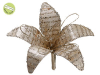 5.5" Glittered Lily w/Clip  Beige Tiffany (pack of 1)