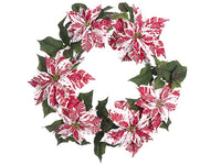 24" Iced Princess Poinsettia Wreath Red White (pack of 2)
