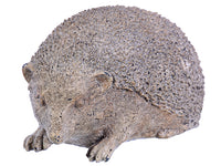 5.5" Hedgehog   (pack of 4)