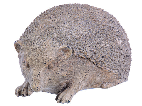 5.5" Hedgehog   (pack of 4)