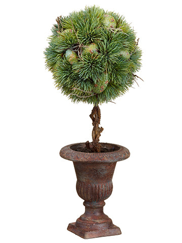 17.5" Pine Topiary in Paper Mache Urn Green (pack of 6)
