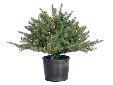 28"Hx36"W Desert Pine(pe) Topiary x182 With 100 Clear Lights in Black Pot Green (pack of 2)