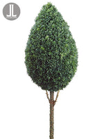 67" Cedar Teardrop Topiary Stem Gray Green (pack of 2)