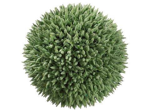 6" Seed Orb  Green (pack of 4)