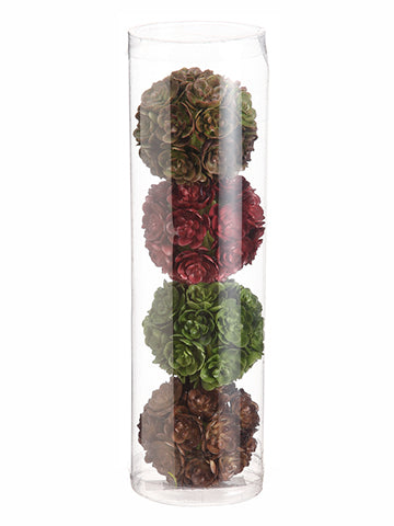 2" Sedum Orb (4 Ea/acetate box) Mixed (pack of 6)