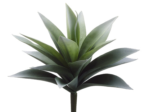 11" Agave Plant w/19 Leaves  Frosted Green (pack of 6)
