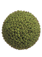 4" Seed Orb in Re-Shippable Box Green (pack of 1)
