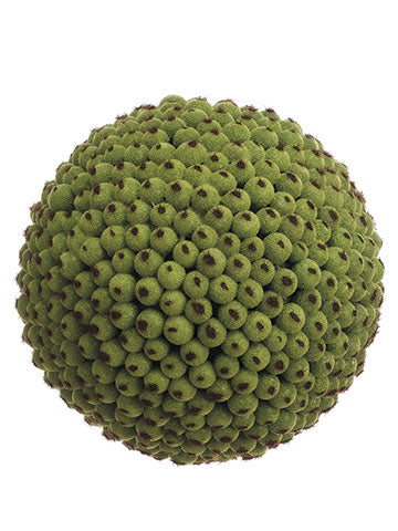 4" Seed Orb in Re-Shippable Box Green (pack of 1)
