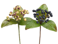 8" Assorted Plastic Berries Pick Purple (pack of 24)