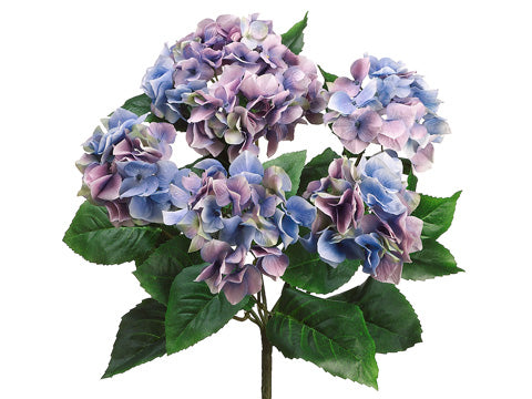 Lavendar Pink