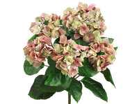 Pink Green