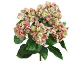 Pink Green