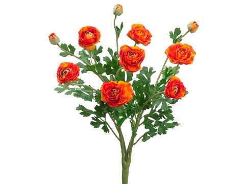 19" Ranunculus Bush with 7 Flowers and 3 Buds Flame (pack of 6)