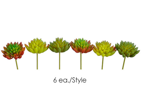 Mini Cactus Assorted 6Ea/Style  Assorted (pack of 12)