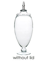 9.5"D x29"h Glass Jar w/O Lid  Clear (pack of 1)