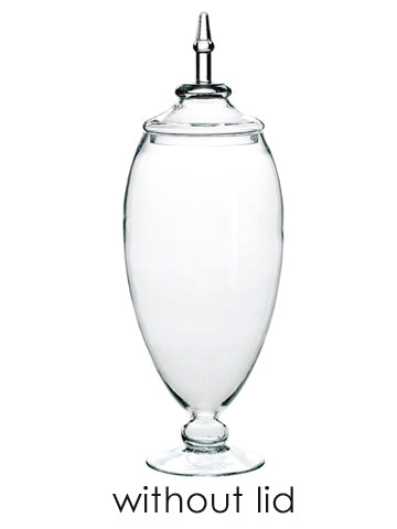 9.5"D x29"h Glass Jar w/O Lid  Clear (pack of 1)