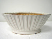 2.7"Hx4.3"Wx7"L Ceramic Oval Provencal Bowl Cream (pack of 24)