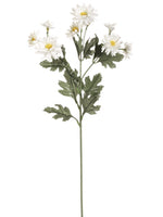 26" Aster Daisy Spray  White (pack of 1)
