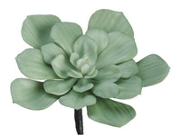 7.5" Frosted Echeveria  Light Green (pack of 6)