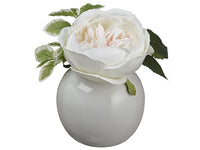 6.5" Open Rose in Ceramic Vase  Peach Cream (pack of 6)